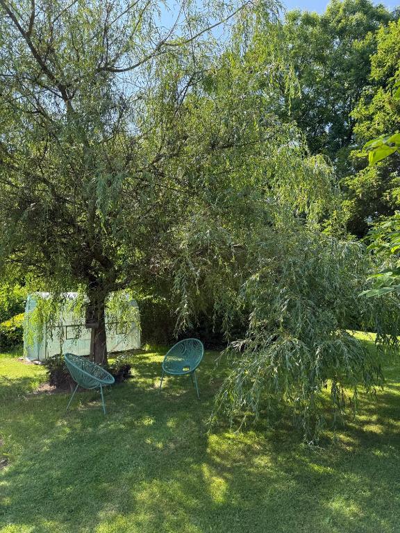 Zahrada ubytování Arduinna's Nest B&B