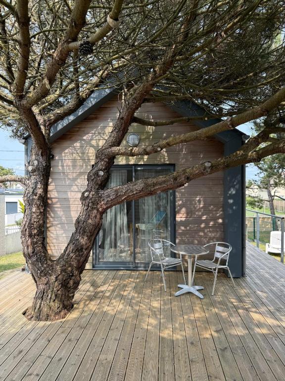 une table et des chaises sur une terrasse à côté d'un arbre dans l'établissement La Cambuse, à Saint-Germain-sur-Ay
