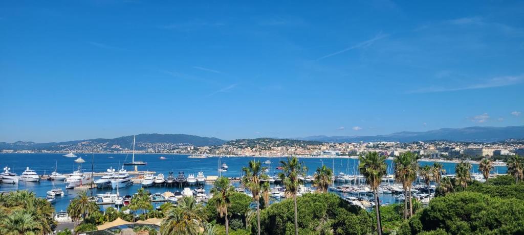 - une vue sur un port de plaisance avec des bateaux et des palmiers dans l'établissement Vue unique sur toute la baie de Cannes et la mer, à Cannes