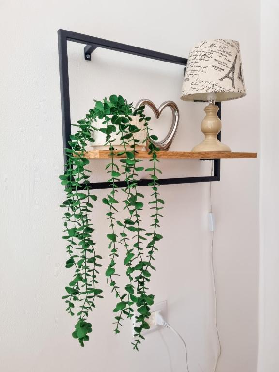 Fotografie z fotogalerie ubytování Apartment Ane v destinaci Bale