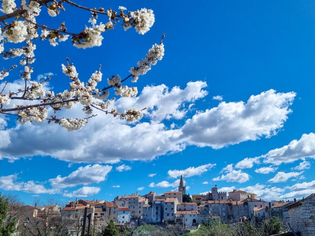 Příroda nedaleko apartmánu