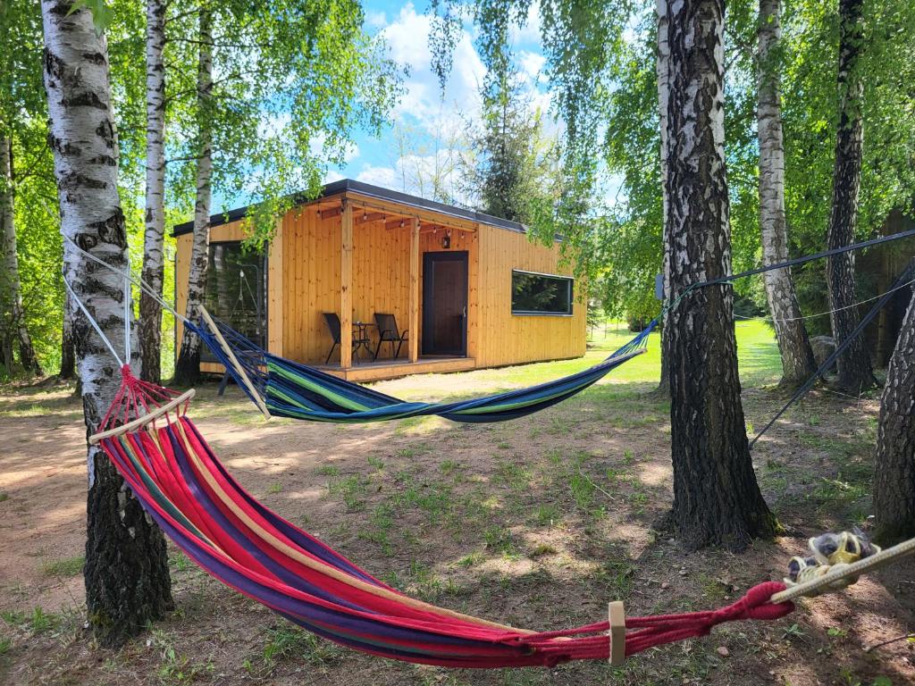 BrzozieAgroturystyka Pod Lipą-SAUNA, BALIA的树林小屋前的吊床