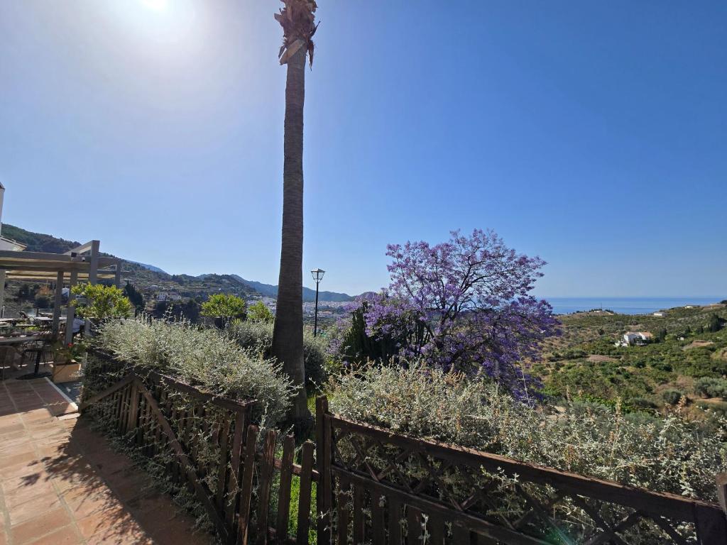 Paisaje cerca de este hotel