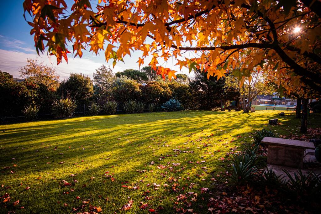 a park with a bench in the grass at Amanecer en las Piedras in Tandil