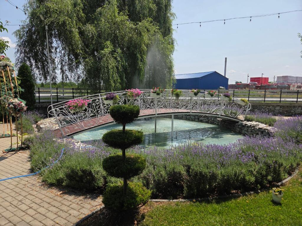 FiliaşiにあるFLORA Gardenの花の咲く庭の池橋
