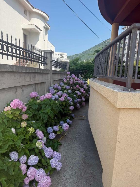 Rõdu või terrass majutusasutuses Apartmani590