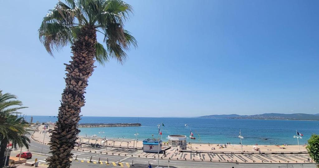 un palmier installé à côté d'une plage donnant sur l'océan dans l'établissement Apartment with terrace at the foot of the beach, à Saint-Raphaël