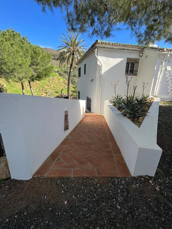 a house with a white wall and a walkway at El bufon de la corte in Carratraca