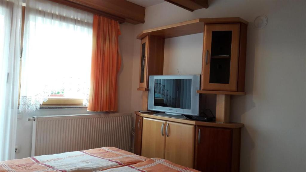 TV a/nebo společenská místnost v ubytování Tourist Farm Škrbina