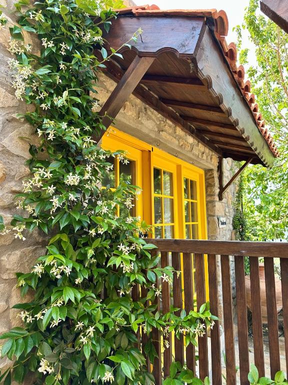 Zahrada ubytování Ilios Guest House