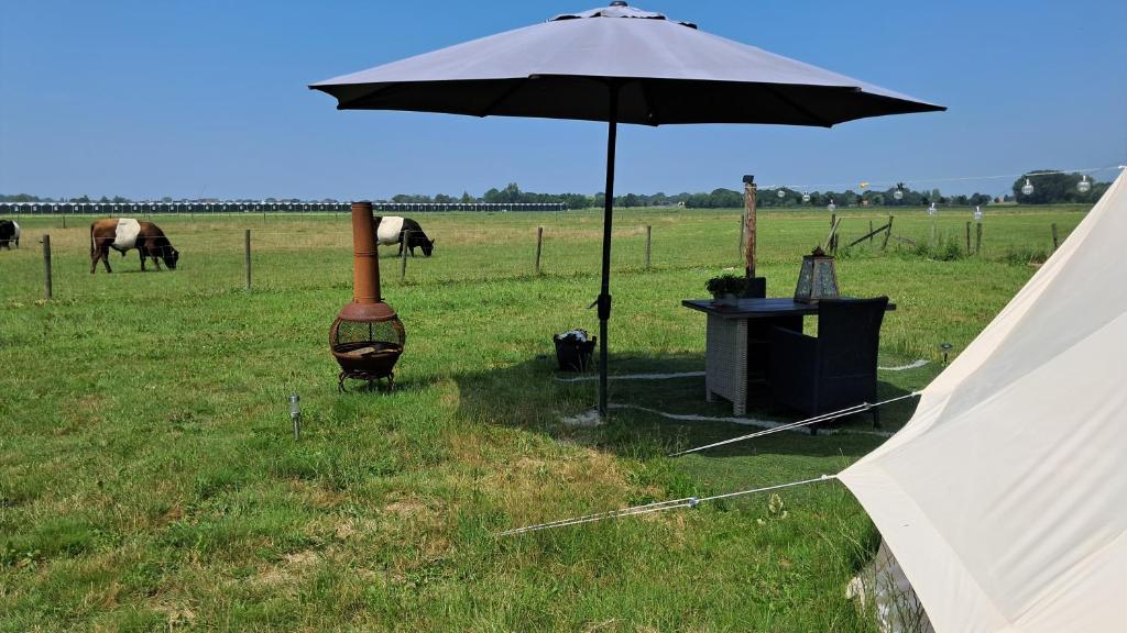 Zvířata v luxury tent nebo okolí