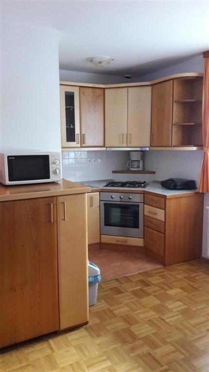 Kuchyň nebo kuchyňský kout v ubytování Tourist Farm Škrbina