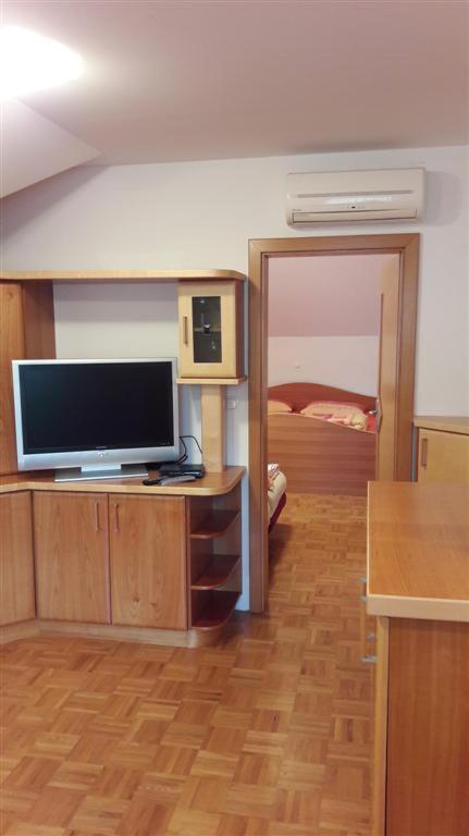 TV a/nebo společenská místnost v ubytování Tourist Farm Škrbina