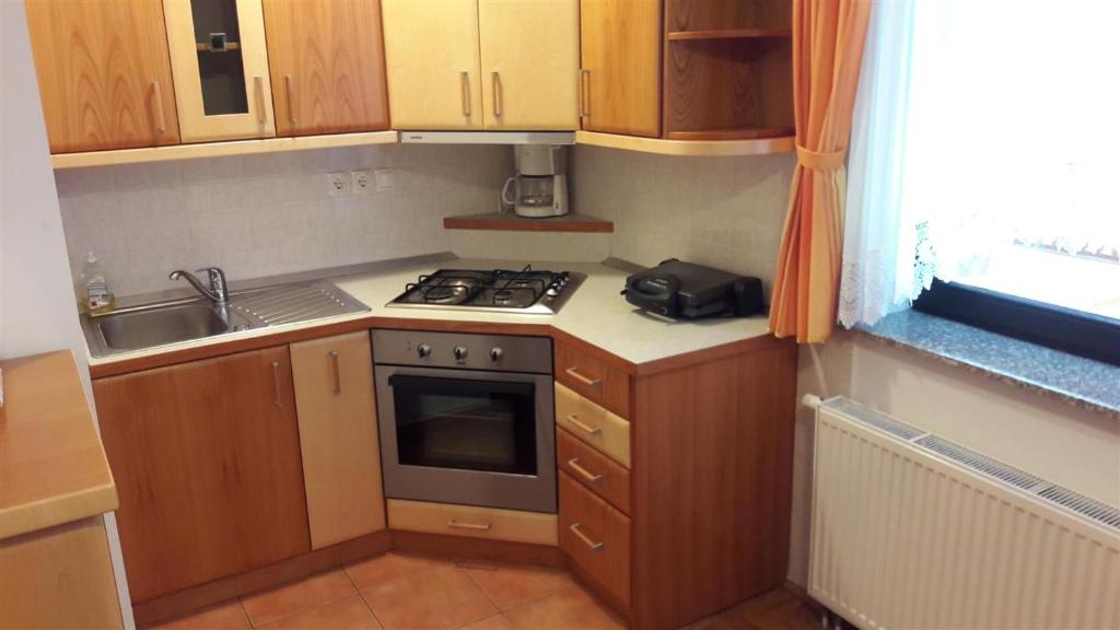 Kuchyň nebo kuchyňský kout v ubytování Tourist Farm Škrbina