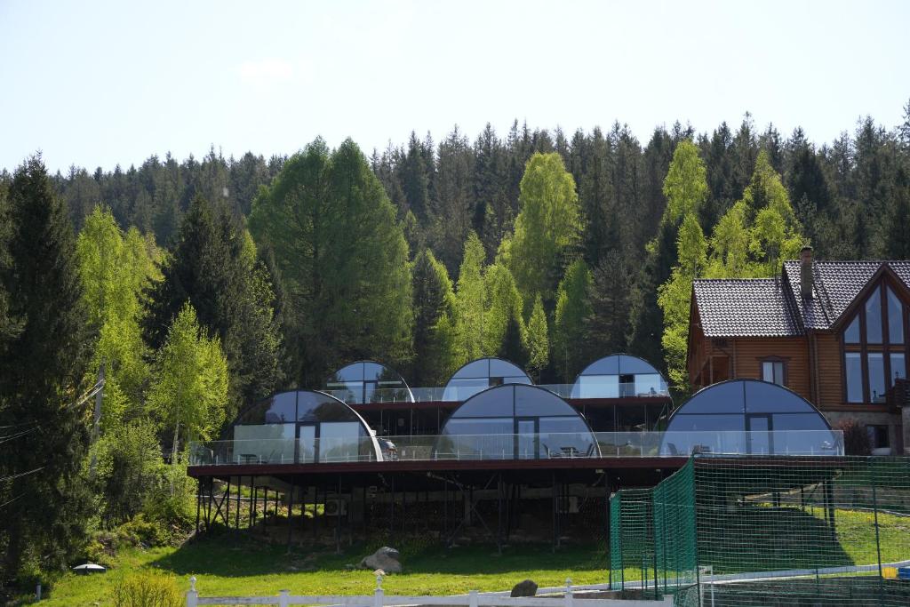 Příroda nedaleko hotelu