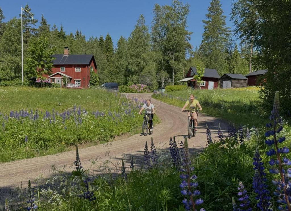 Hosté ubytování Noretjärns Stugby