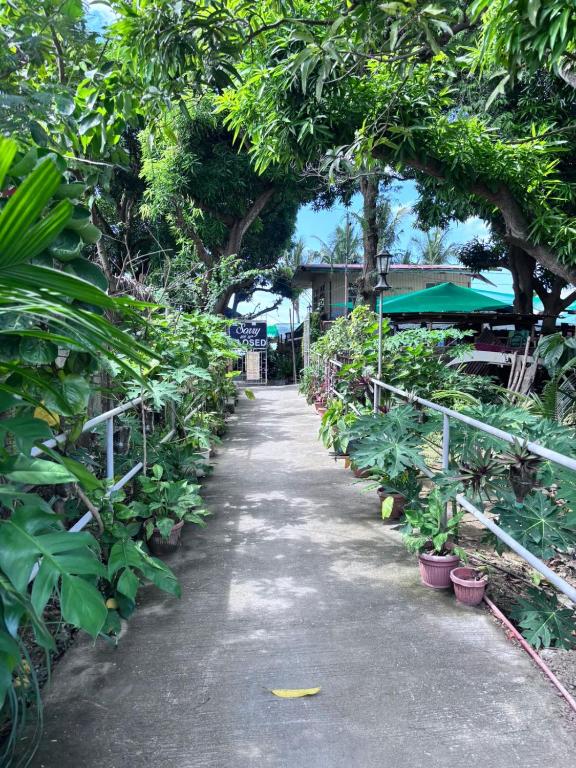Zahrada ubytování Kusirena Homestay