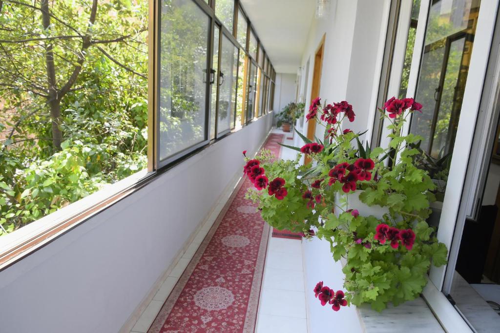 Zahrada ubytování Hotel HAXHIU