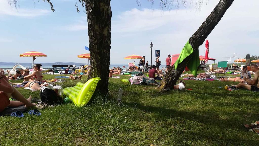 Goście zatrzymujący się w obiekcie Apartments in Siofok/Balaton 35466