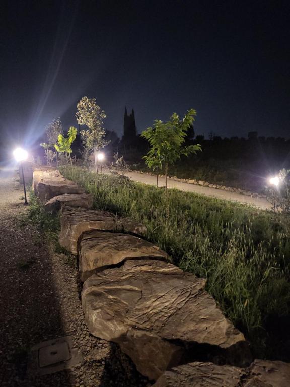 Cena romantica all'aperto