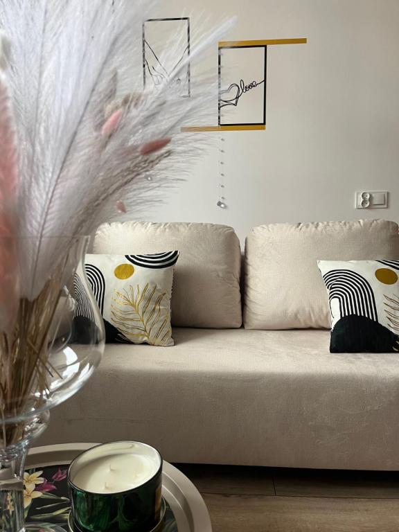 a living room with a couch and a table at Apartament Sukces in Biała Podlaska