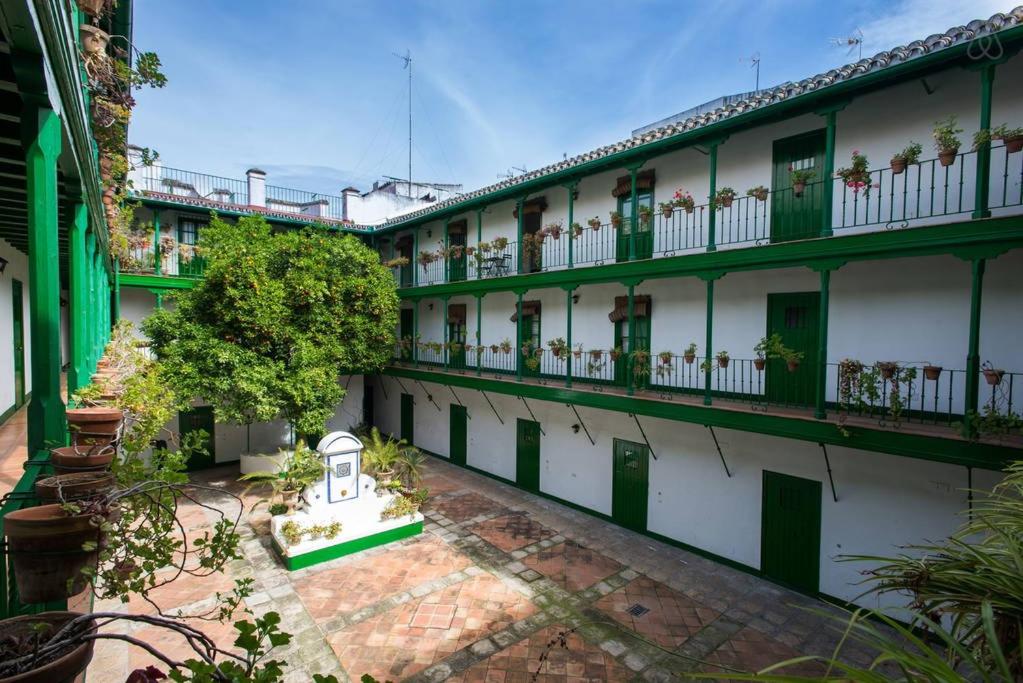Tradicional Oasis Sevillano, Seville – Updated 2022 Prices