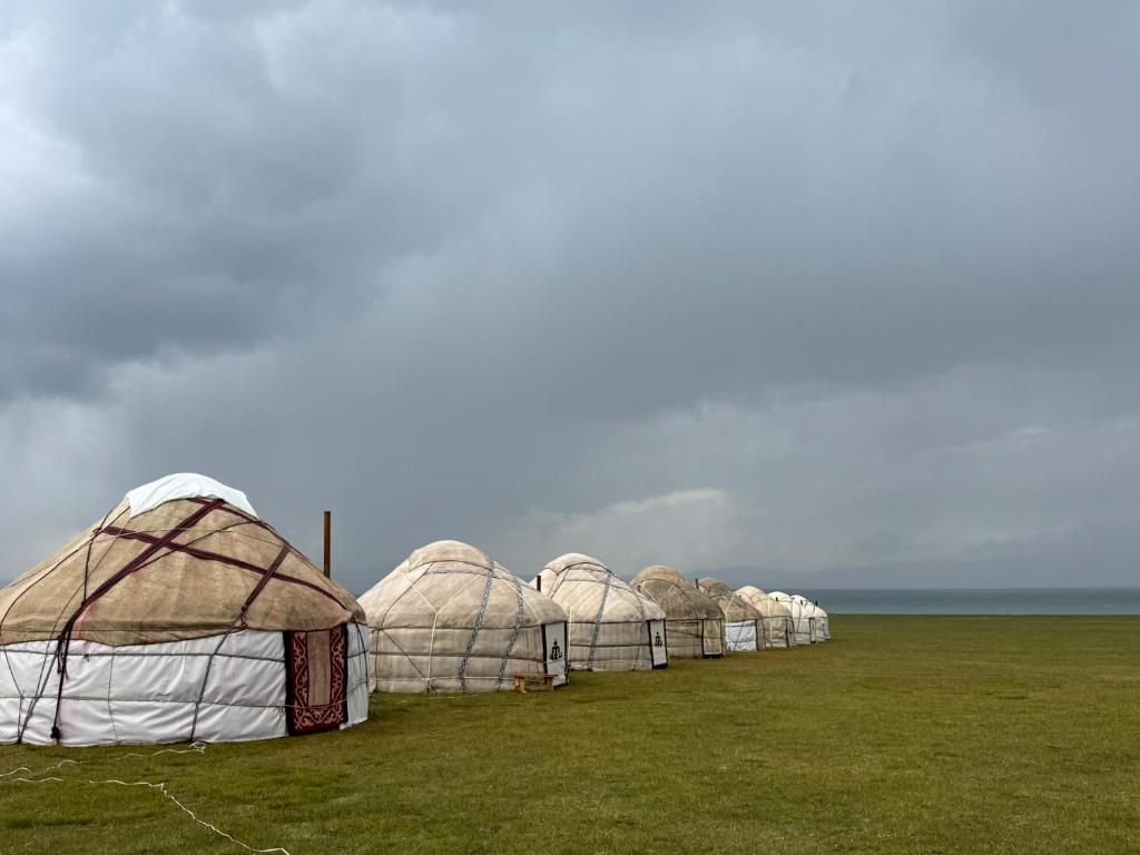 een rij tenten in een veld bij One Million Stars Yurt camp in Song-Kul