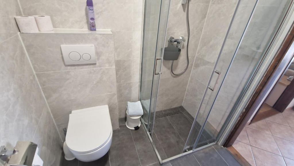 Koupelna v ubytování Apartmani Dolencic