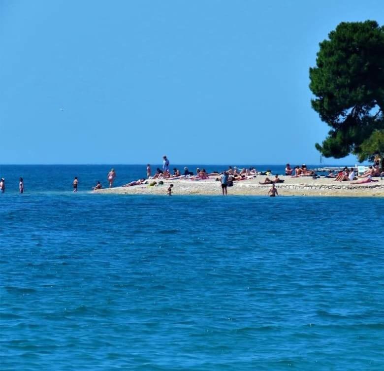 a group of people on a beach and the water at Mary in Zadar