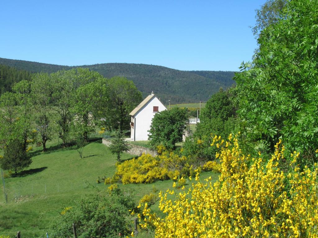 ein weißes Haus auf einem Feld mit Bäumen und gelben Blumen in der Unterkunft Lou camparol in Villeneuve