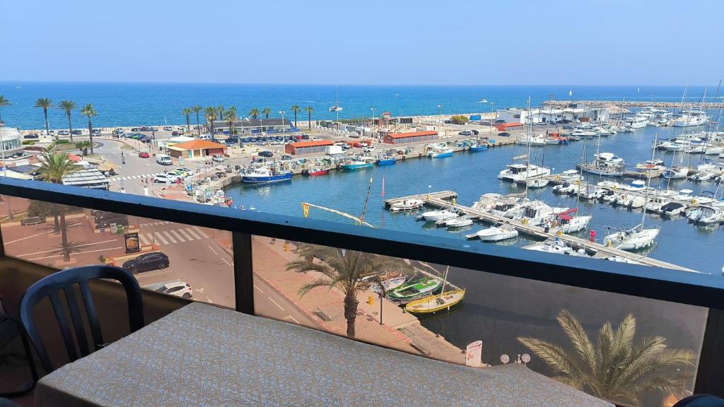 une vue d'une marina avec des bateaux dans l'eau dans l'établissement Appart modernise vue mer ambiance Marine, à Saint Cyprien Plage