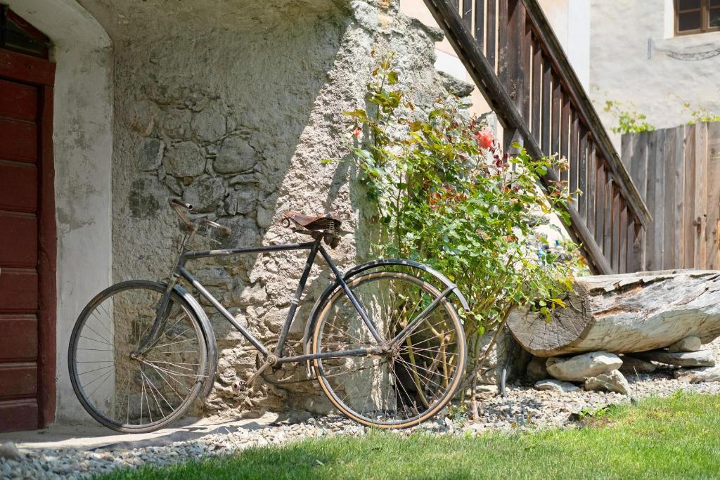 Jazda na bicykli v okolí ubytovania Bachguthof