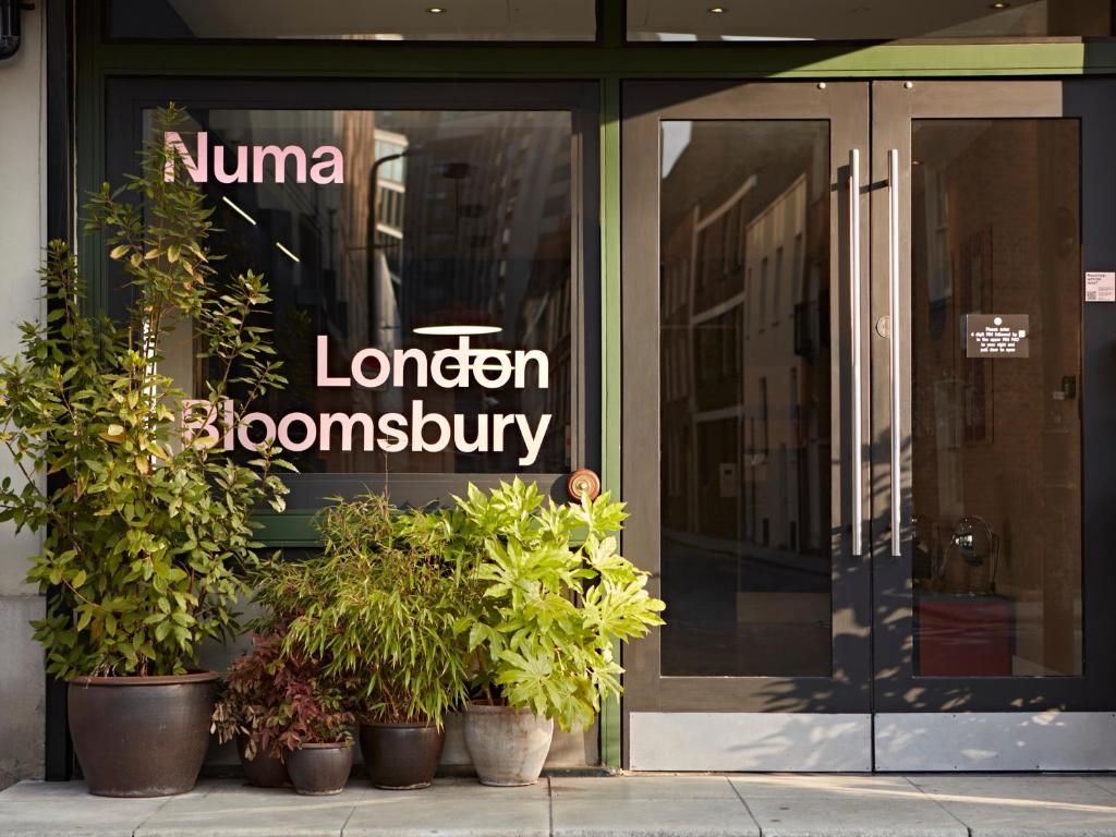 Numa London Bloomsbury - Resim 7