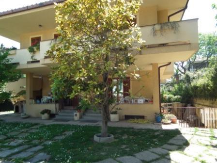 a building with a tree in front of it at Villino IRMA in Porto San Giorgio