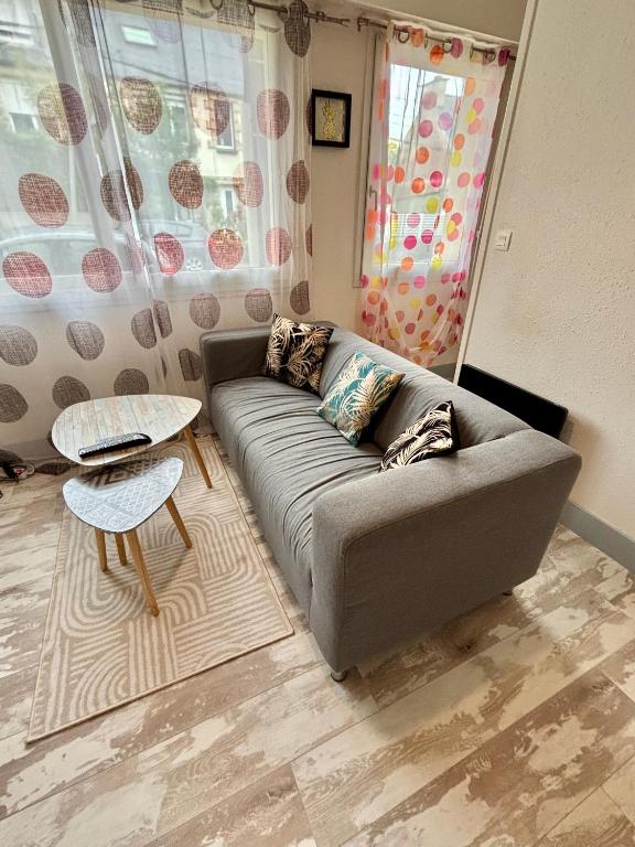 un salon avec un canapé et une table dans l'établissement Brest Saint-Marc : appart T1 bis bien situé wifi, à Brest