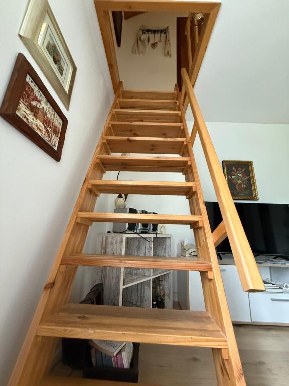 Palanda nebo palandy na pokoji v ubytování Kod Basaričeka