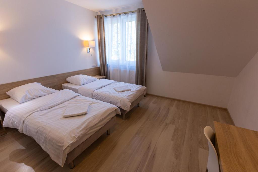 Spacious room with twin beds, wooden desk, and large window.