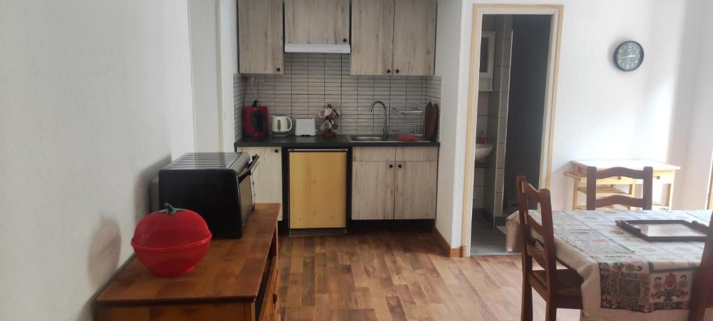 Kuchyň nebo kuchyňský kout v ubytování Appartements au bord de la rivière