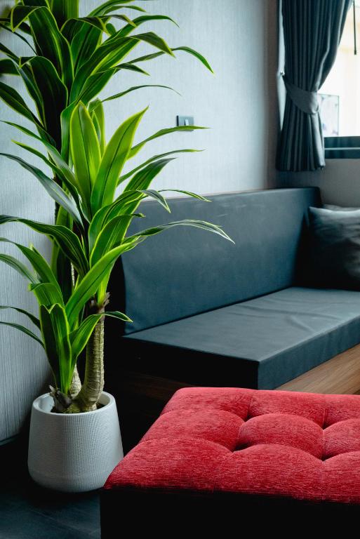 Happy Hotel Aonang Krabi - Resim 11