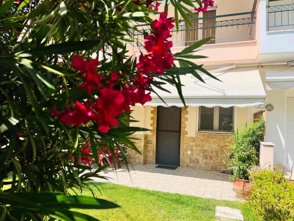 Zahrada ubytování Seaside Villa Clio