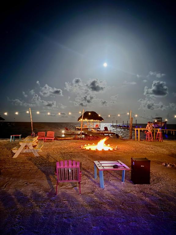 Imagen de la galería de Barefoot Beach Belize, en Caye Caulker