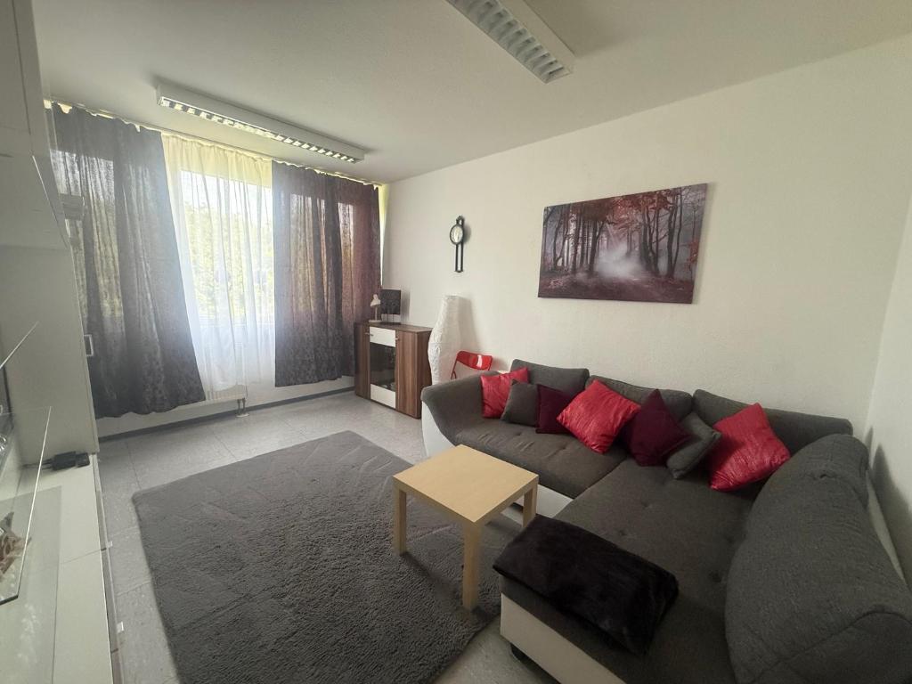a living room with a gray couch and red pillows at Ferienwohnung Mainz Bahnhof in Mainz