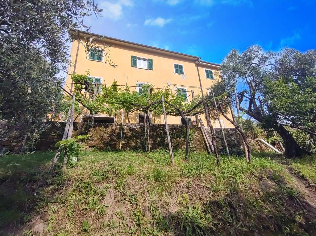 ein Haus auf einem Hügel mit Bäumen in der Unterkunft Appartamento dei limoni in La Spezia
