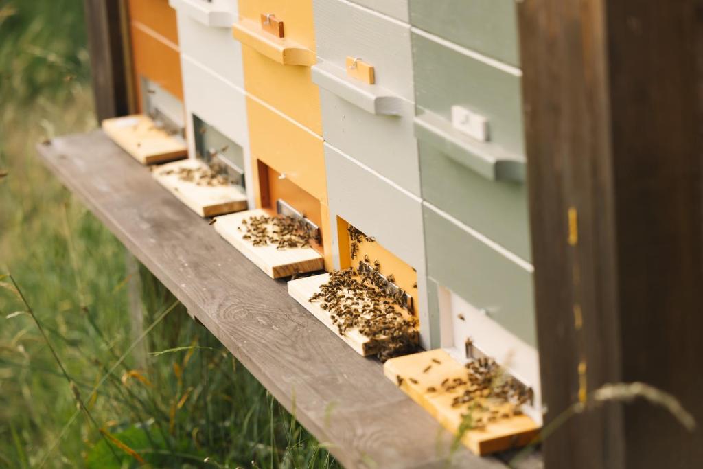 Fotografie z fotogalerie ubytování Ladybug Eco House v destinaci Gradišče pri Lukovici