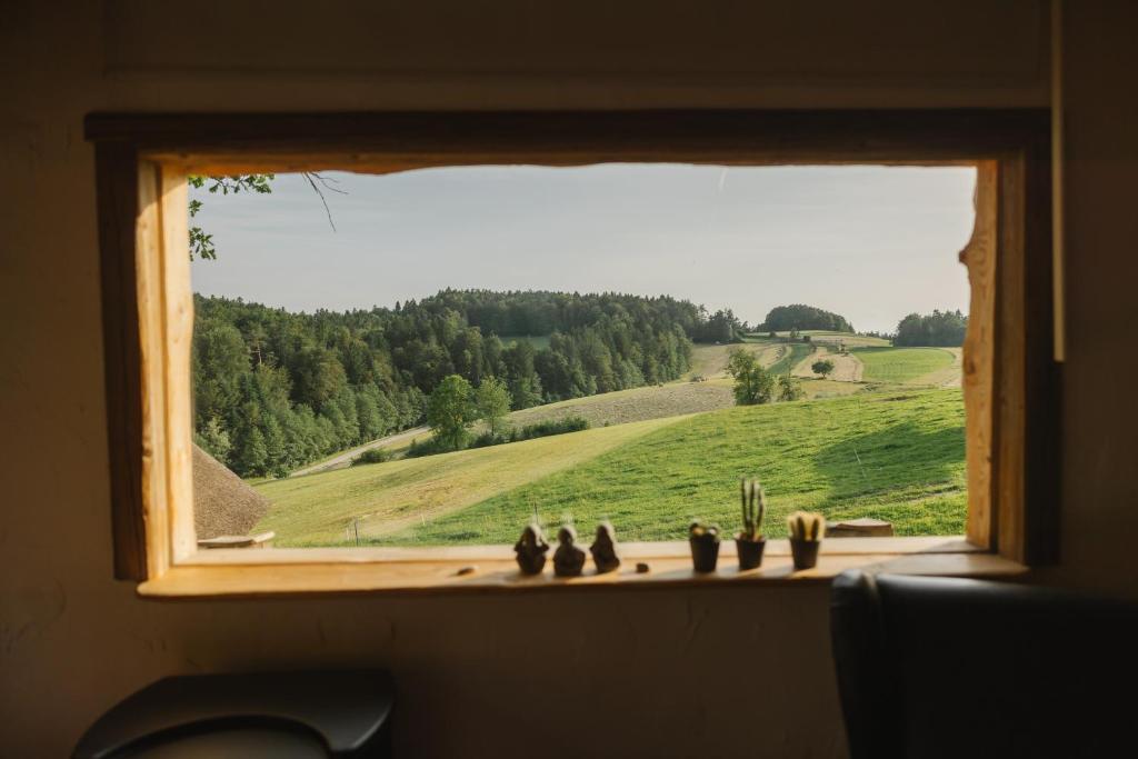 Příroda nedaleko prázdninového domu