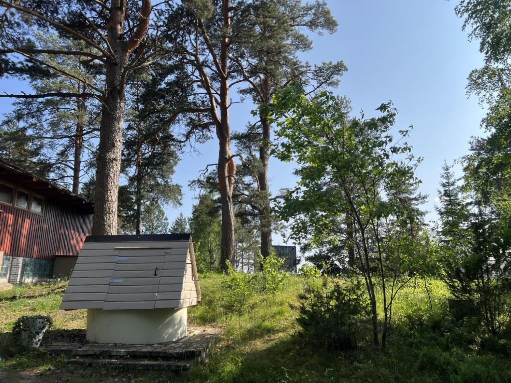 Zahrada ubytování Vesiroos Villa