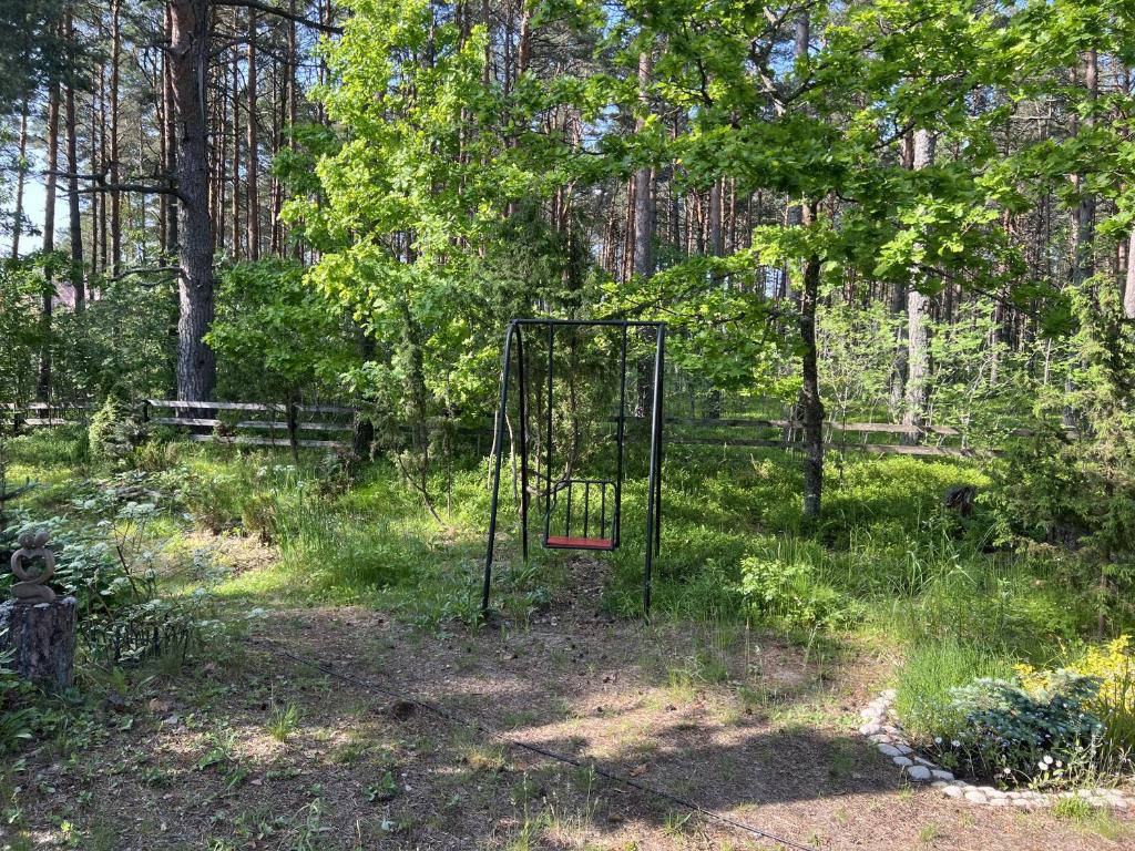 Zahrada ubytování Vesiroos Villa