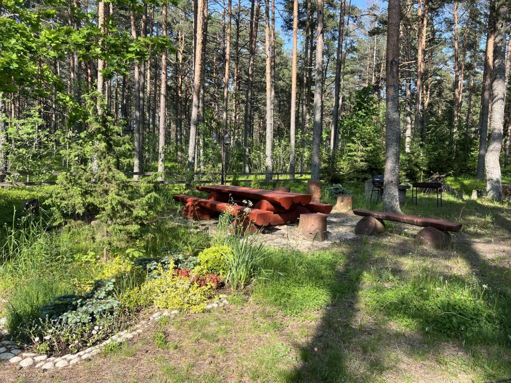 Zahrada ubytování Vesiroos Villa