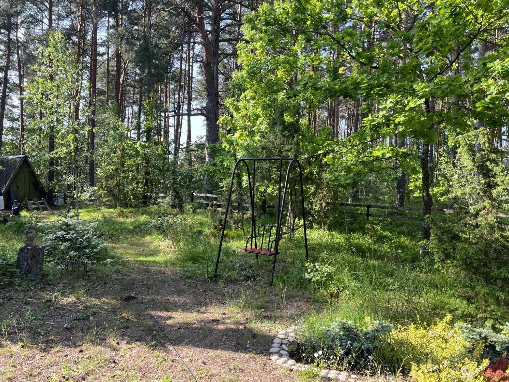 Zahrada ubytování Vesiroos Villa
