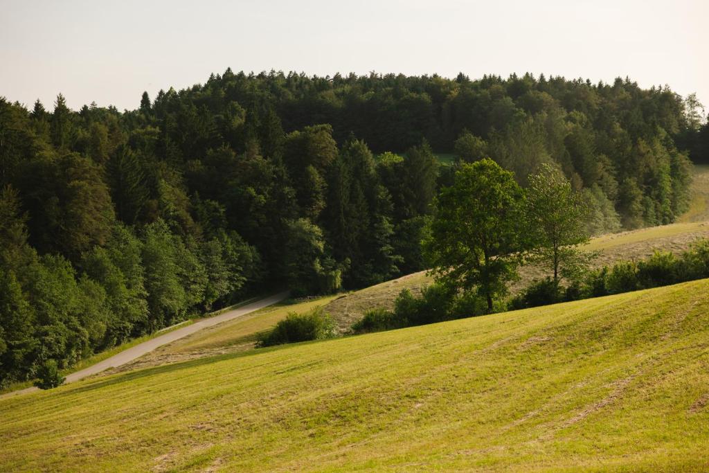Příroda nedaleko luxury tent